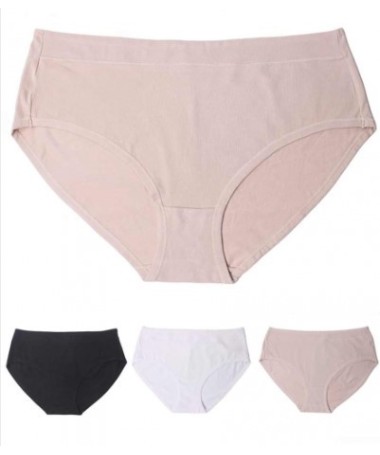 Culotte coton Grande Taille du 52 au 58 _ TEKA MODE